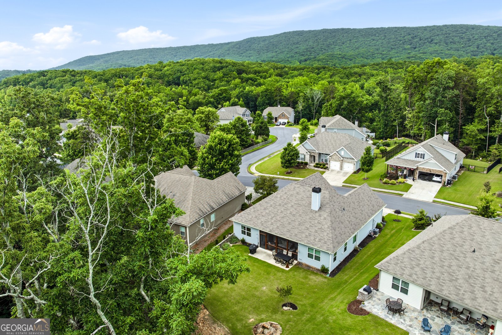 365 Cherokee Drive Waleska - Photo 46