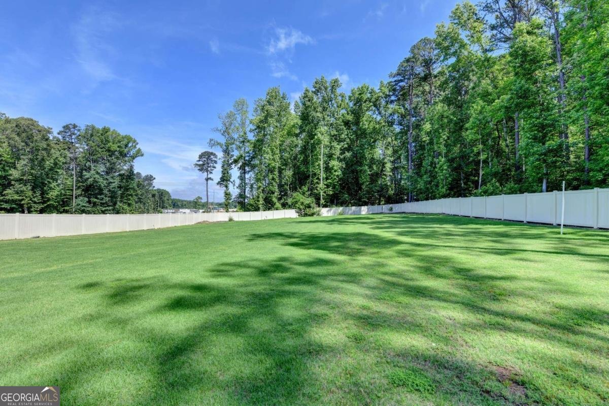 1294 Rock Springs Road Buford - Photo 52