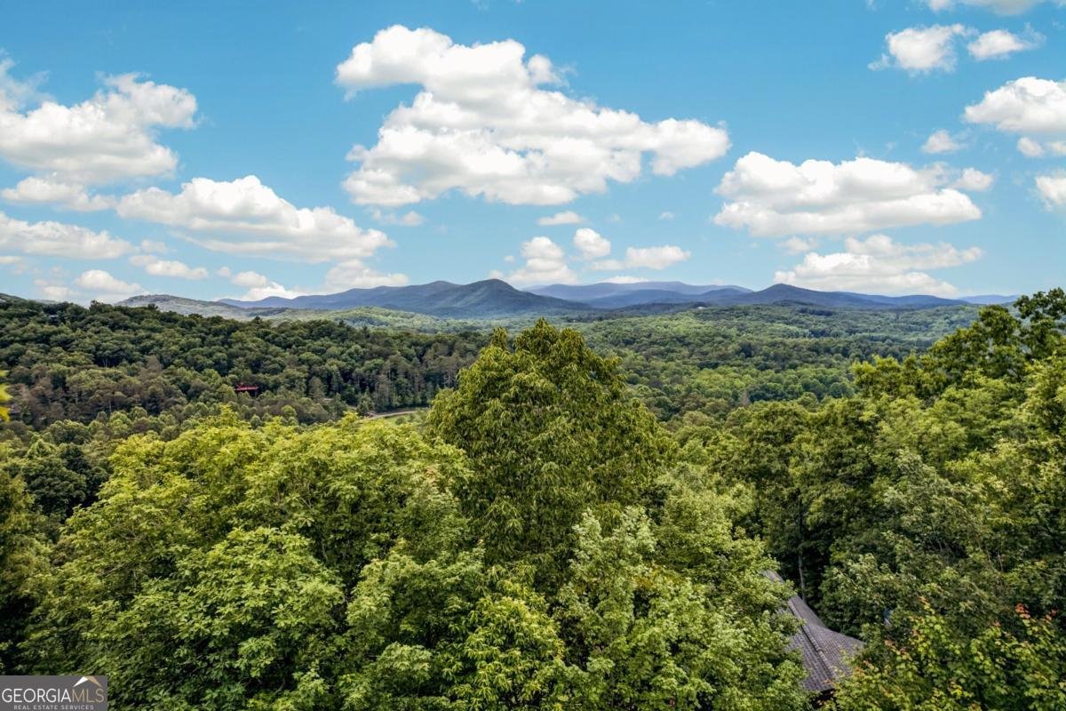 40 Foxfire Lane Blue Ridge - Photo 14