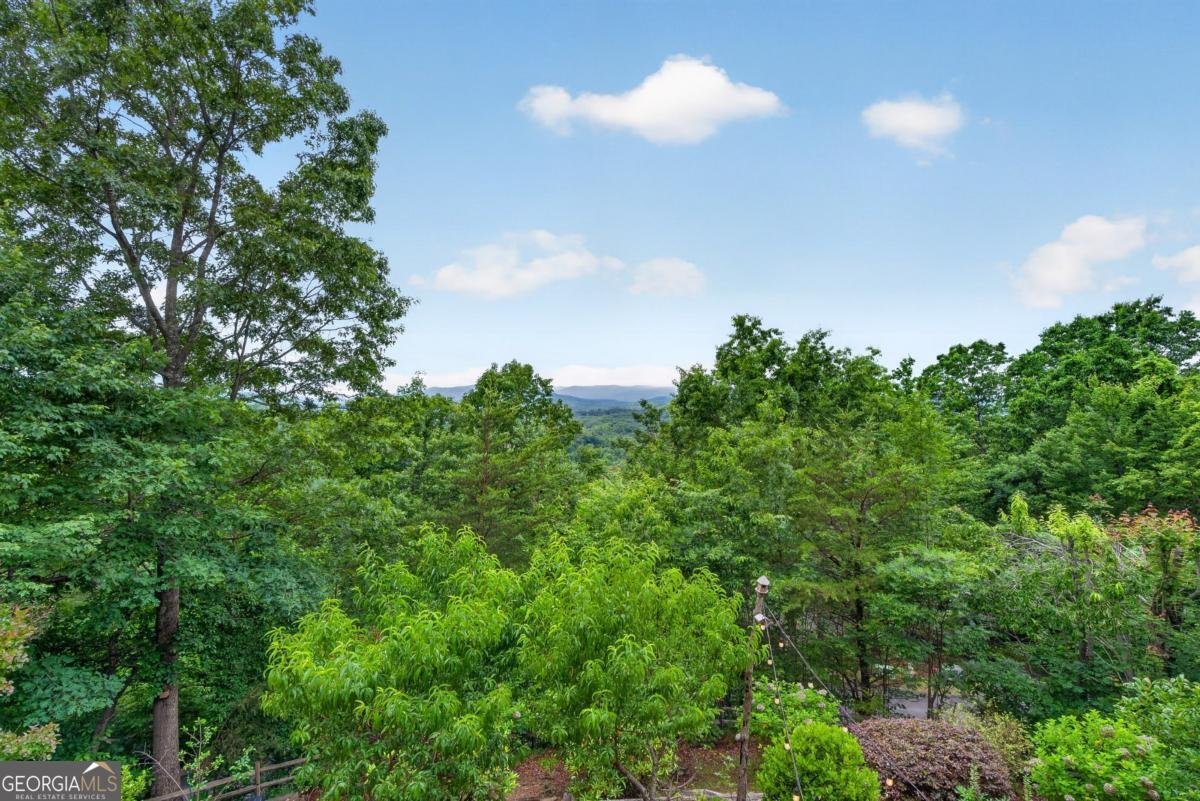 40 Foxfire Lane Blue Ridge - Photo 25