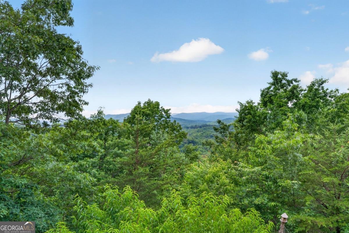 40 Foxfire Lane Blue Ridge - Photo 26