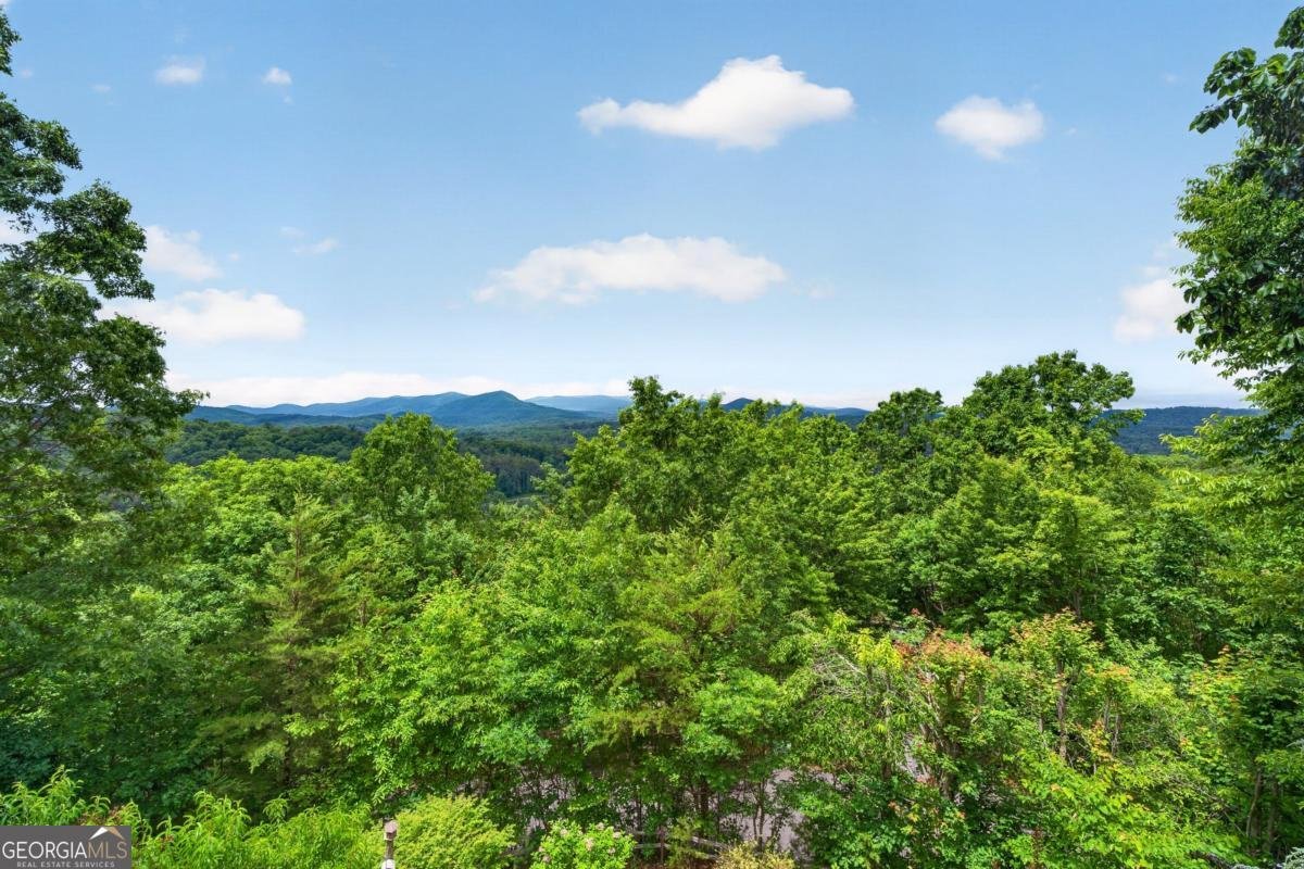 40 Foxfire Lane Blue Ridge - Photo 47