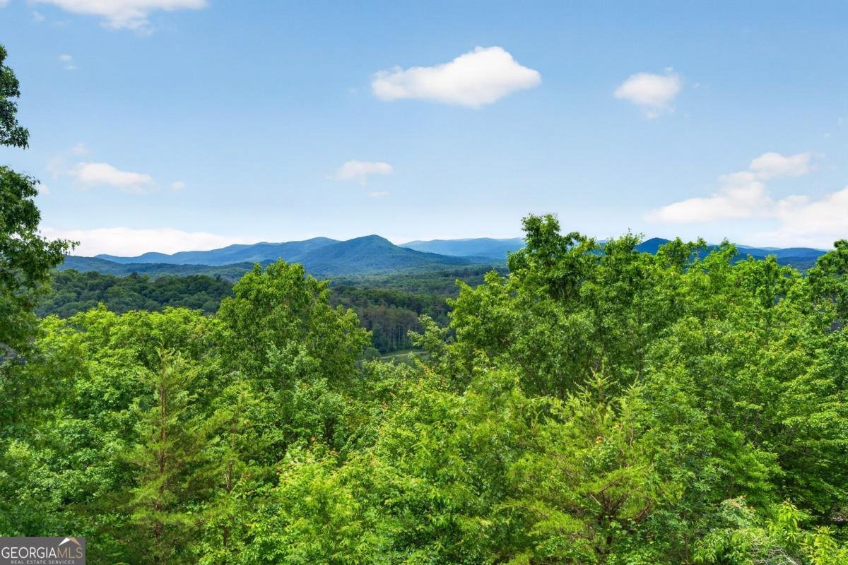 40 Foxfire Lane Blue Ridge - Photo 48