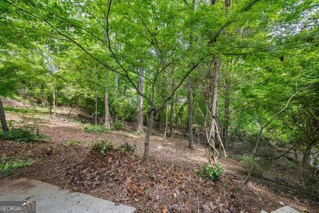 125 Terrell Drive Athens - Photo 70