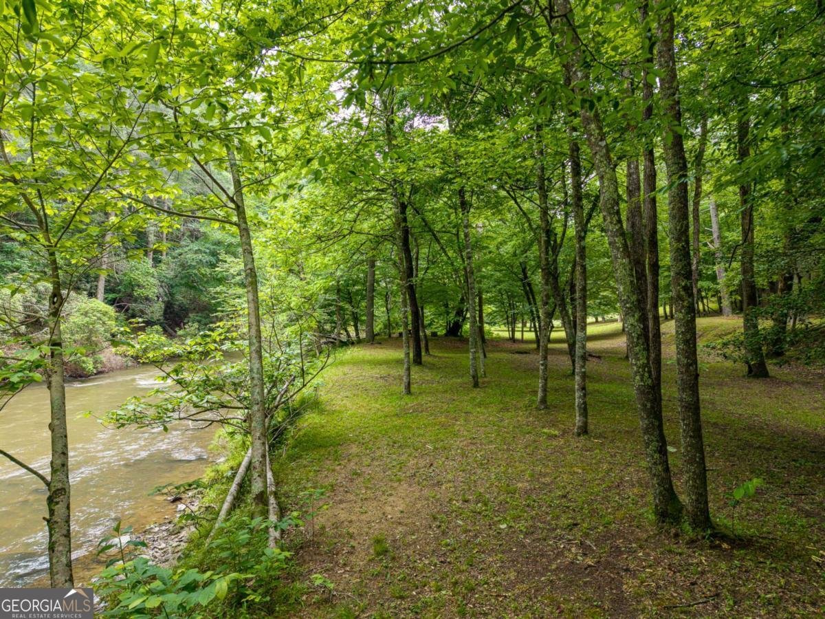 1774 Hicks Ford Road Ellijay - Photo 10