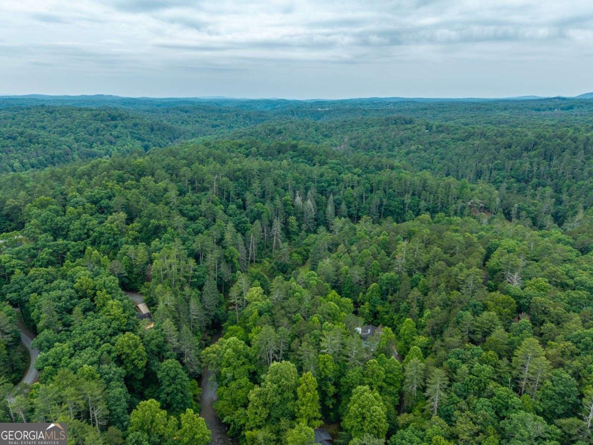1774 Hicks Ford Road Ellijay - Photo 14