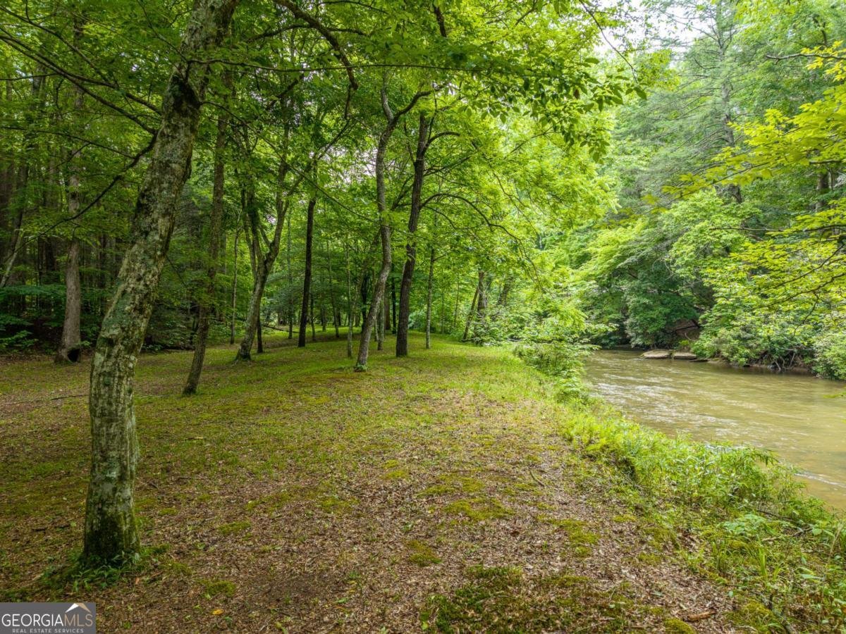 1774 Hicks Ford Road Ellijay - Photo 7