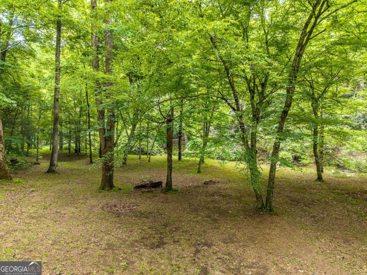 1774 Hicks Ford Road Ellijay - Photo 9