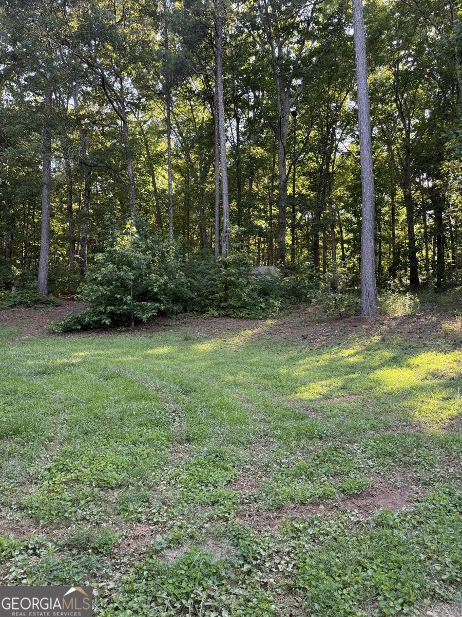 110 Balouse Gilley Drive Carrollton - Photo 26