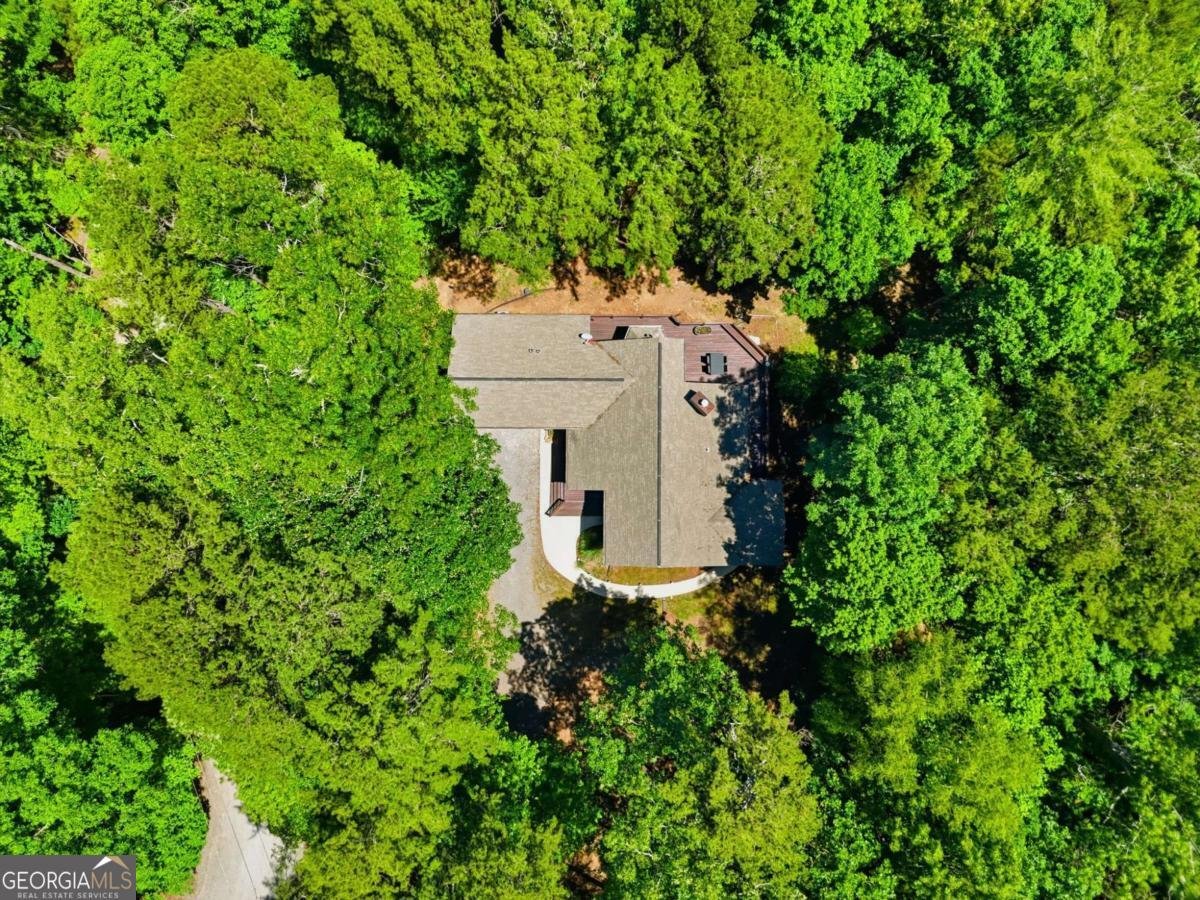 142 Armor Court Ellijay - Photo 49