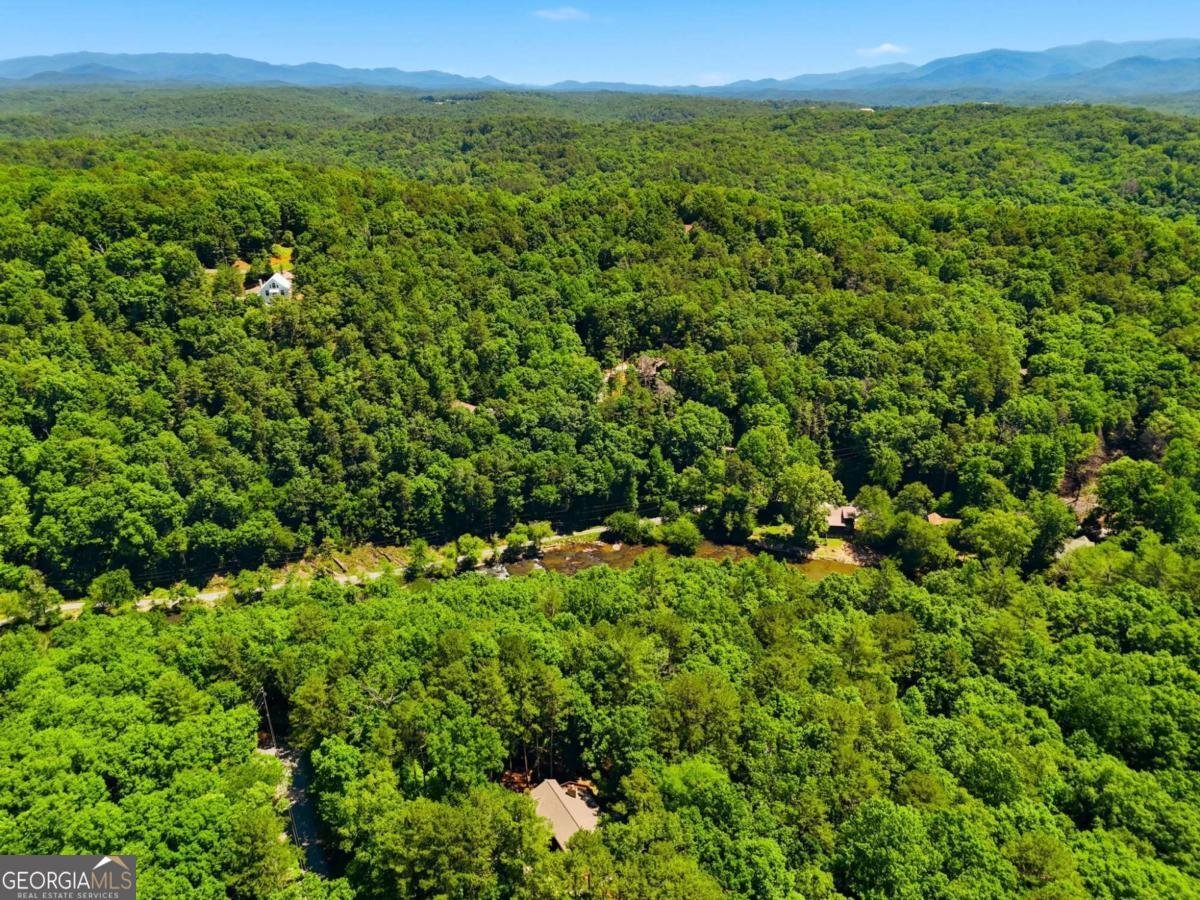 142 Armor Court Ellijay - Photo 54
