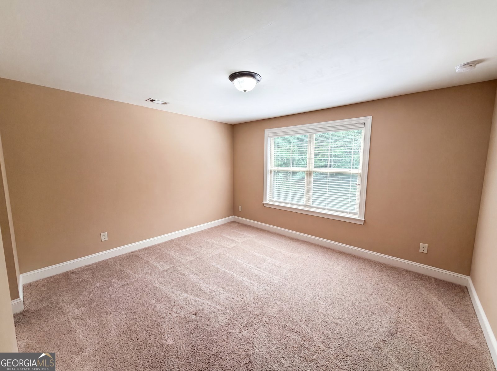 6565 Bentley Ridge Drive Cumming - Photo 19