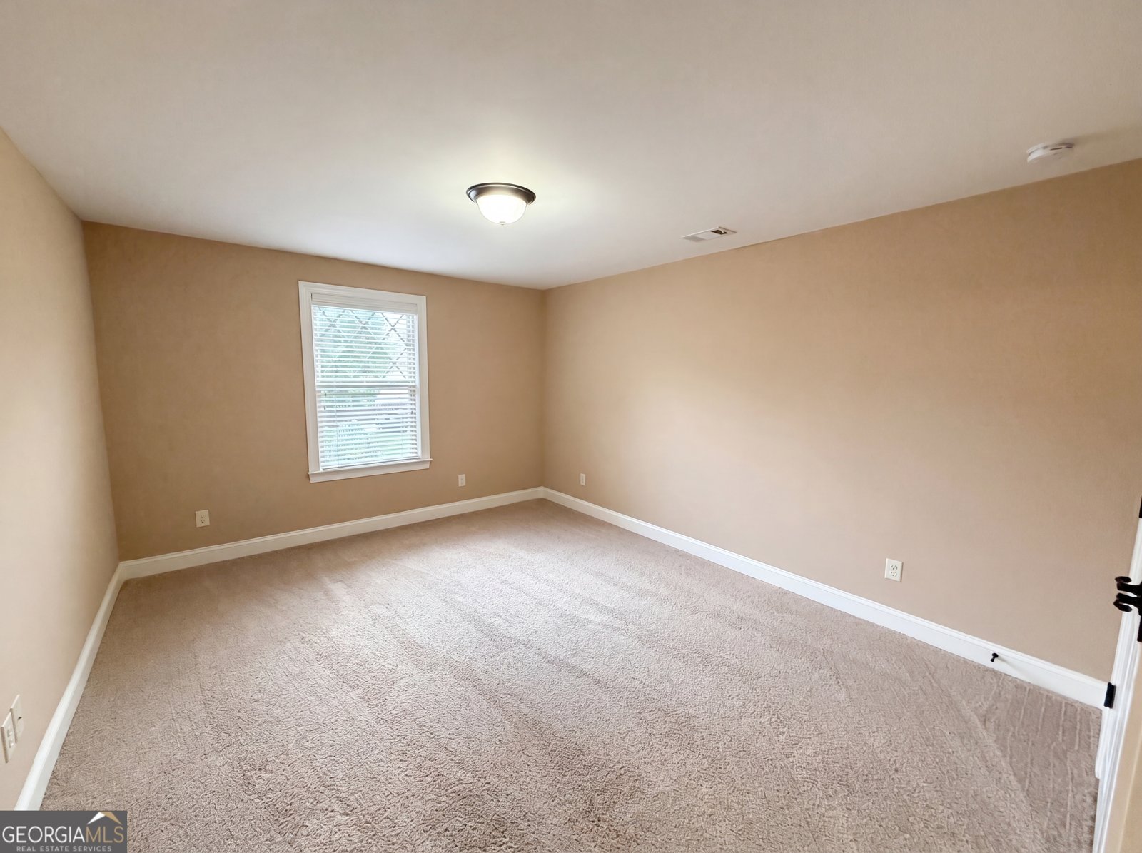 6565 Bentley Ridge Drive Cumming - Photo 20