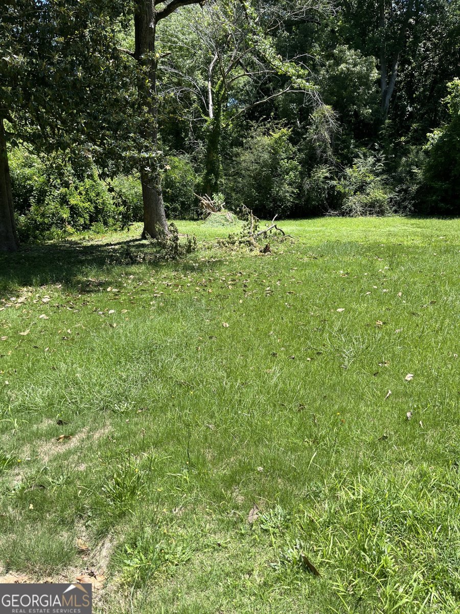 210 Taliaferro Drive Hogansville - Photo 24