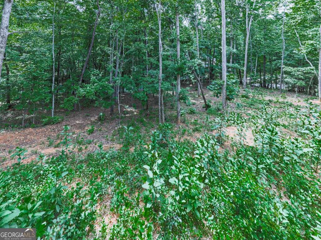 312 Campbell Camp Circle Blue Ridge - Photo 30