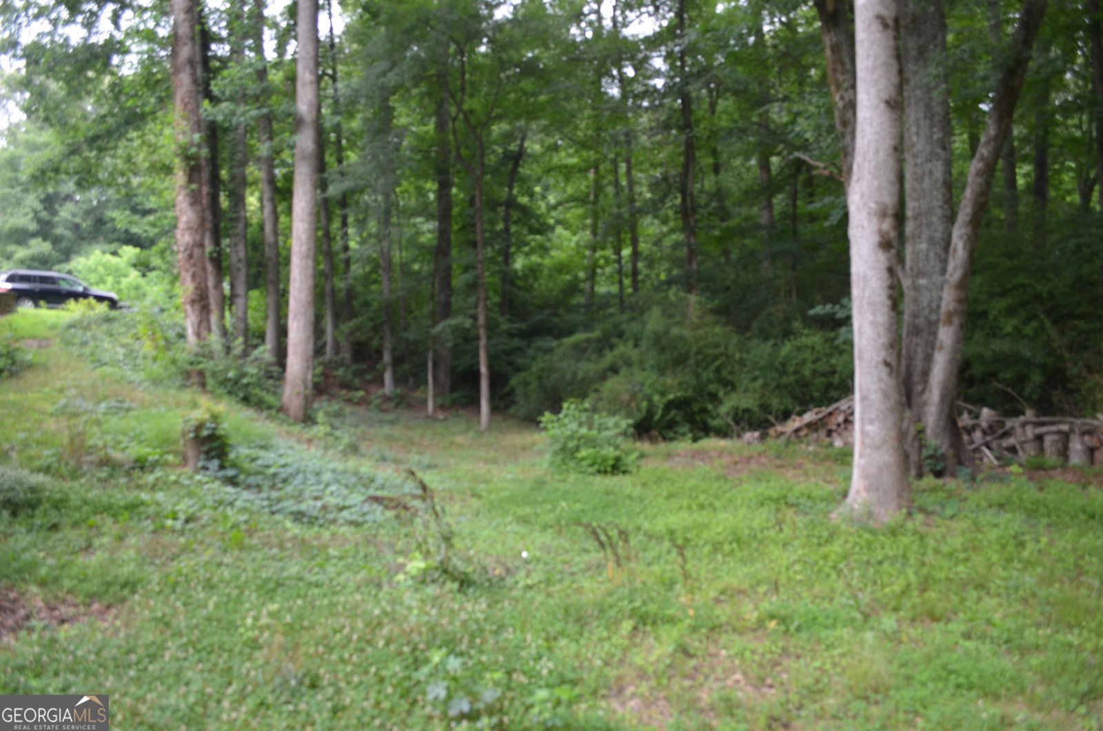 4631 Kousa Lane Snellville - Photo 58