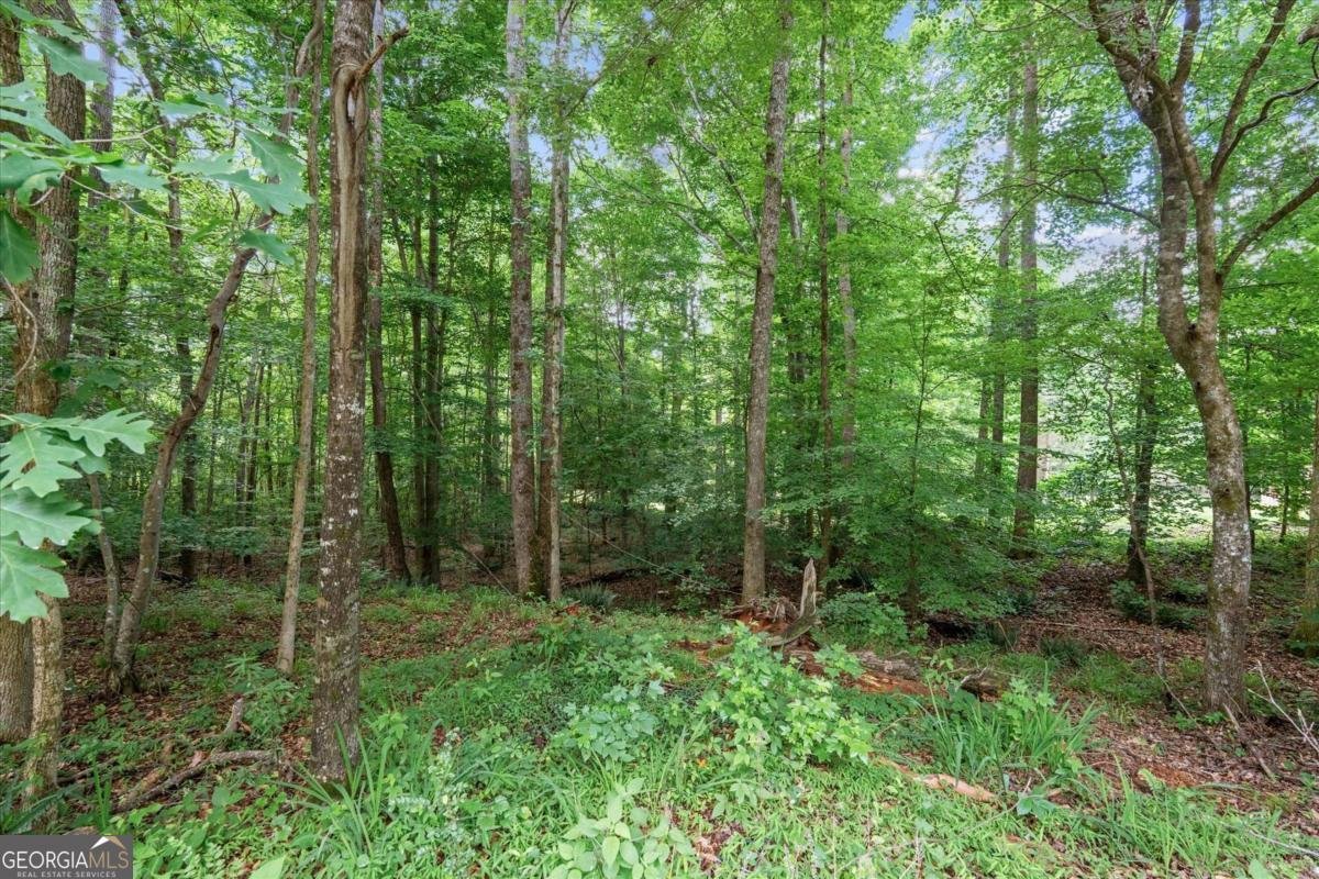 620 Old Four Notch Road Whitesburg - Photo 45