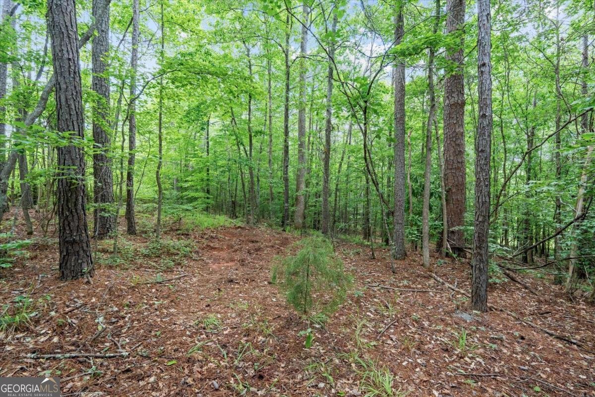 620 Old Four Notch Road Whitesburg - Photo 46