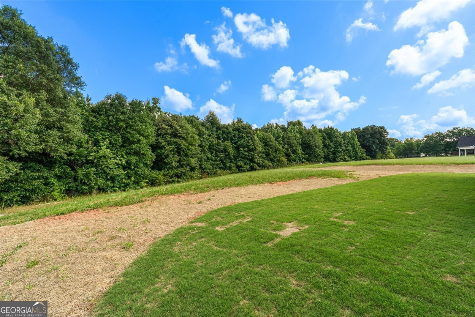 637 Welcome Road Roopville - Photo 55