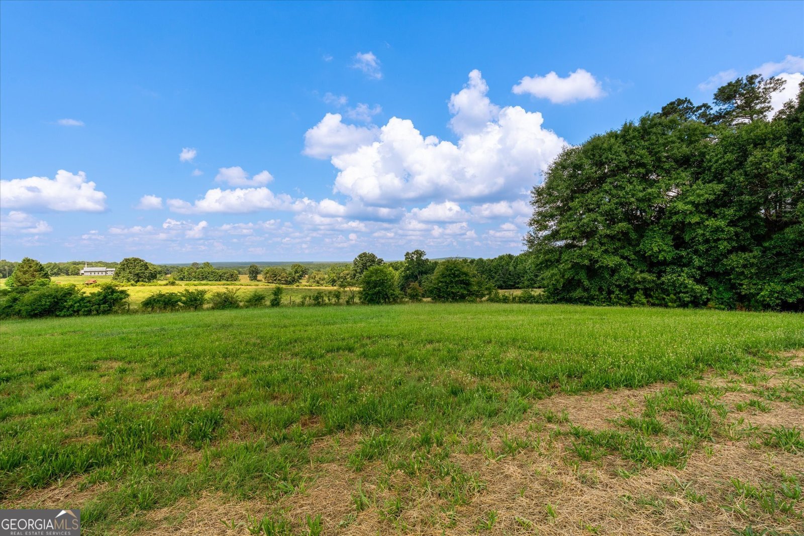 637 Welcome Road Roopville - Photo 56