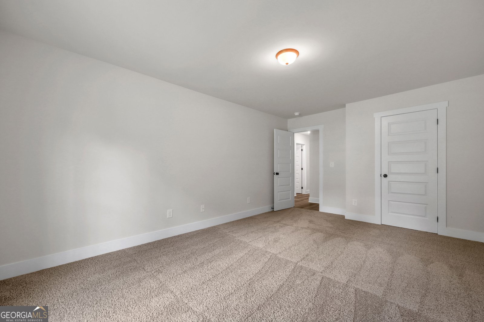 332 Elizabeth Court Colbert - Photo 46