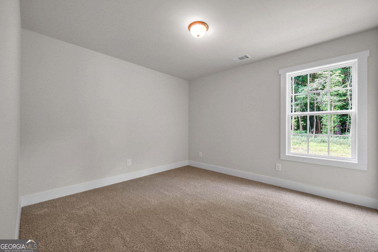 332 Elizabeth Court Colbert - Photo 48