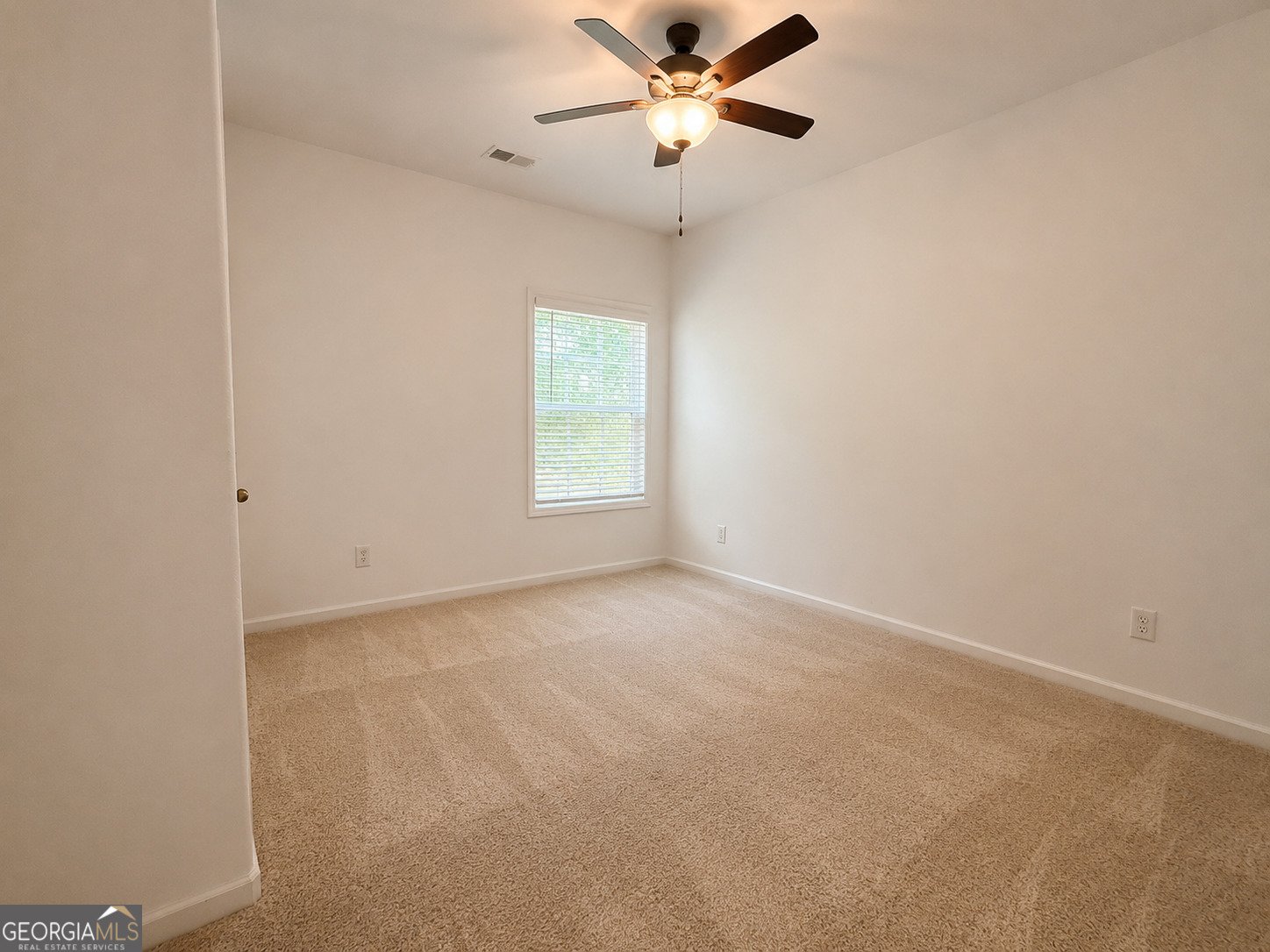 167 Winifred Way Senoia - Photo 13