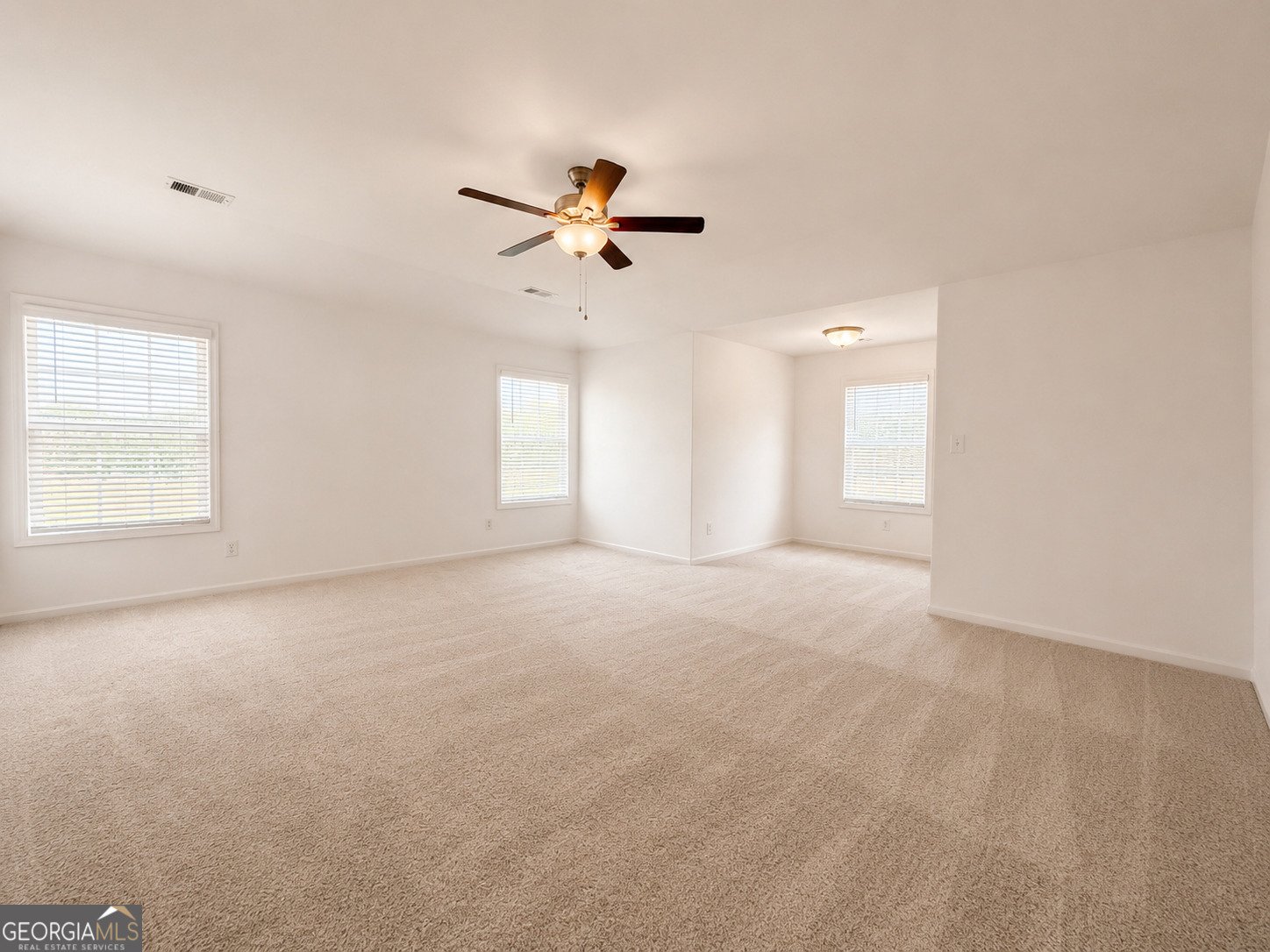 167 Winifred Way Senoia - Photo 20