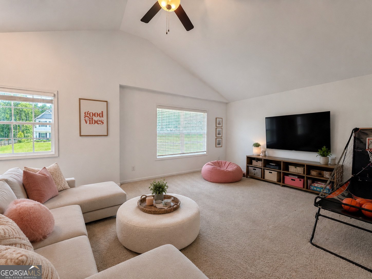 167 Winifred Way Senoia - Photo 24