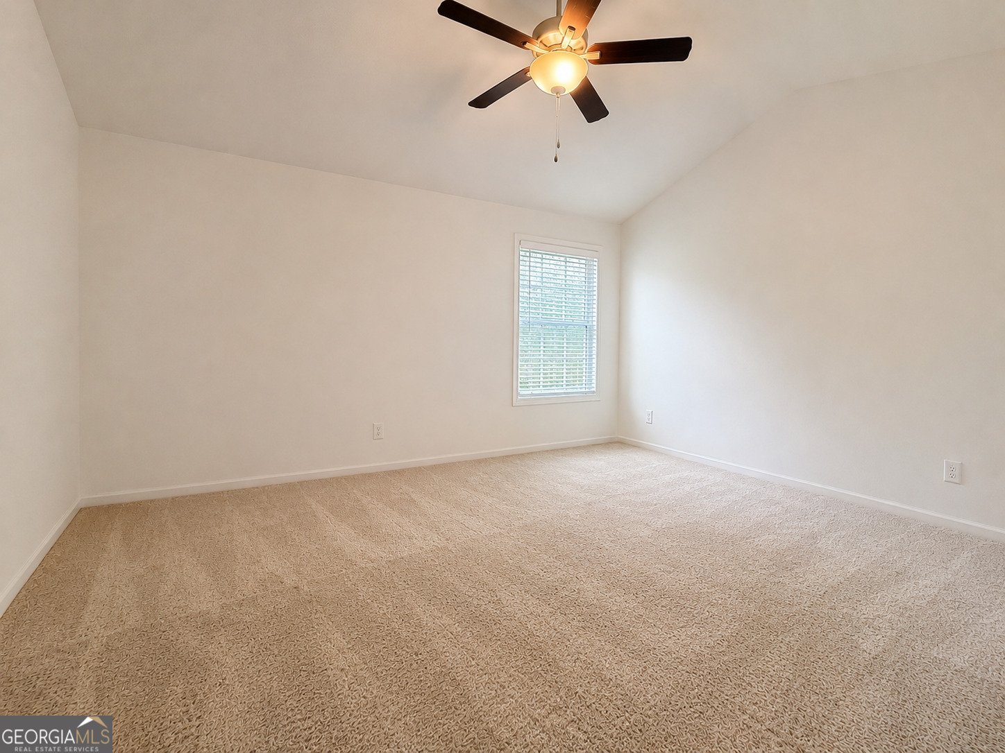 167 Winifred Way Senoia - Photo 34