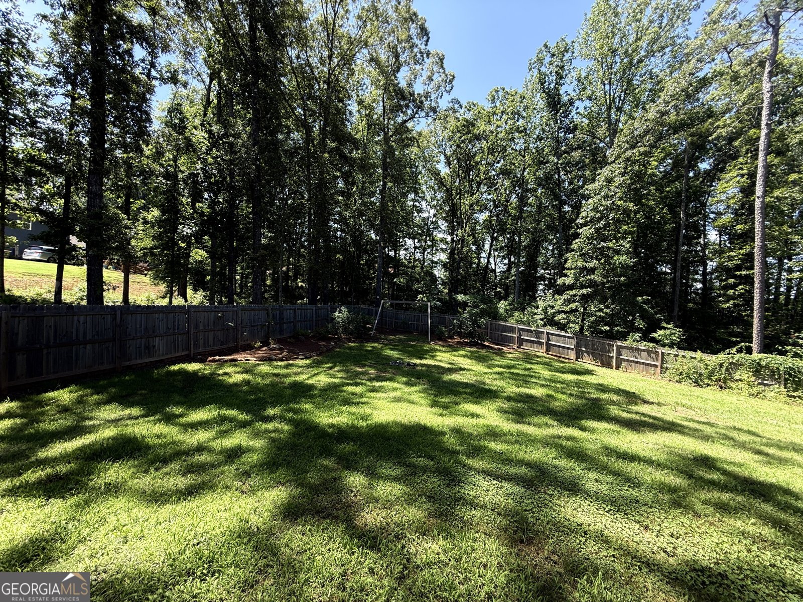 167 Winifred Way Senoia - Photo 39