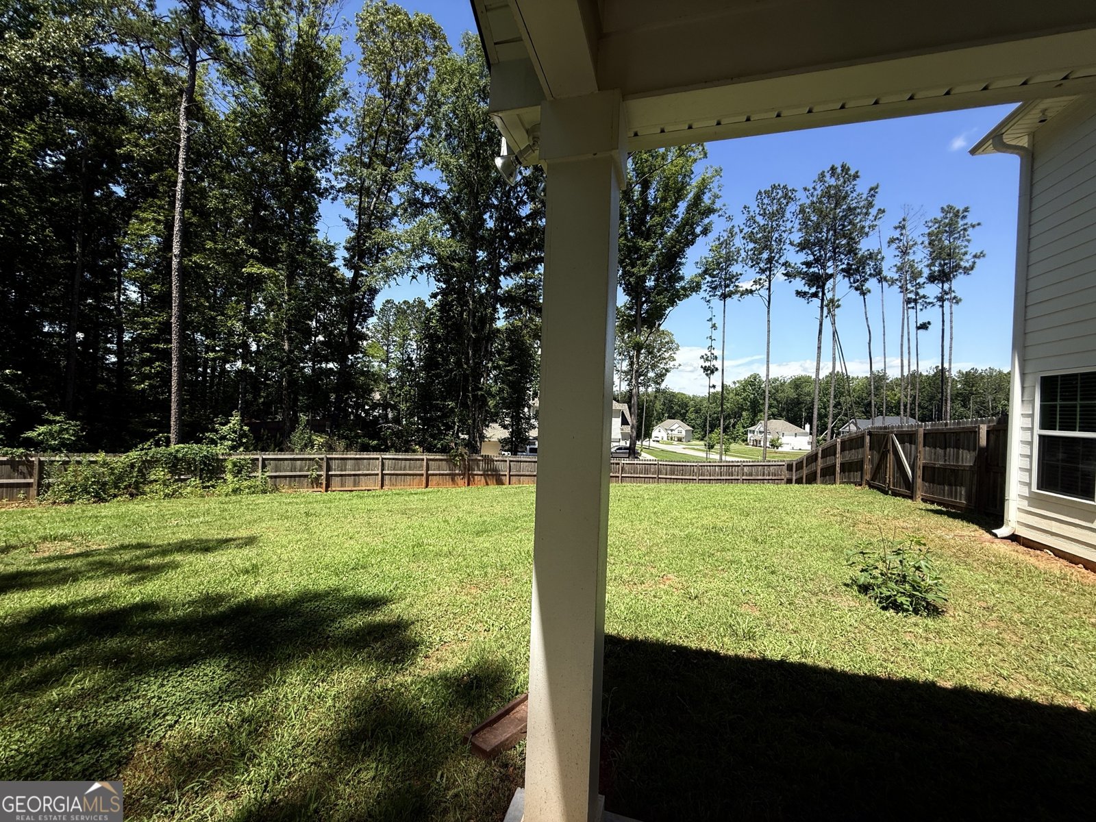 167 Winifred Way Senoia - Photo 40