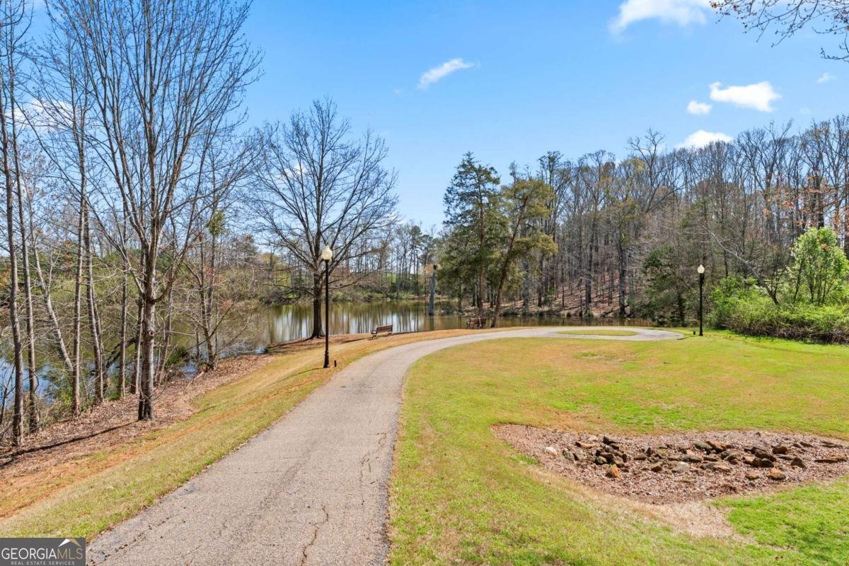 2041 Lakewood Manor Drive Watkinsville - Photo 53