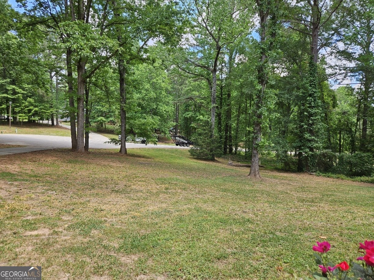 32 Angie Court Stockbridge - Photo 6