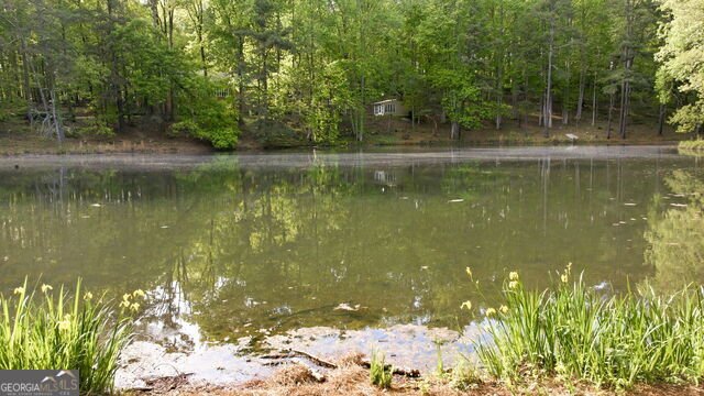 4984 Fox Trl GAINESVILLE - Photo 53