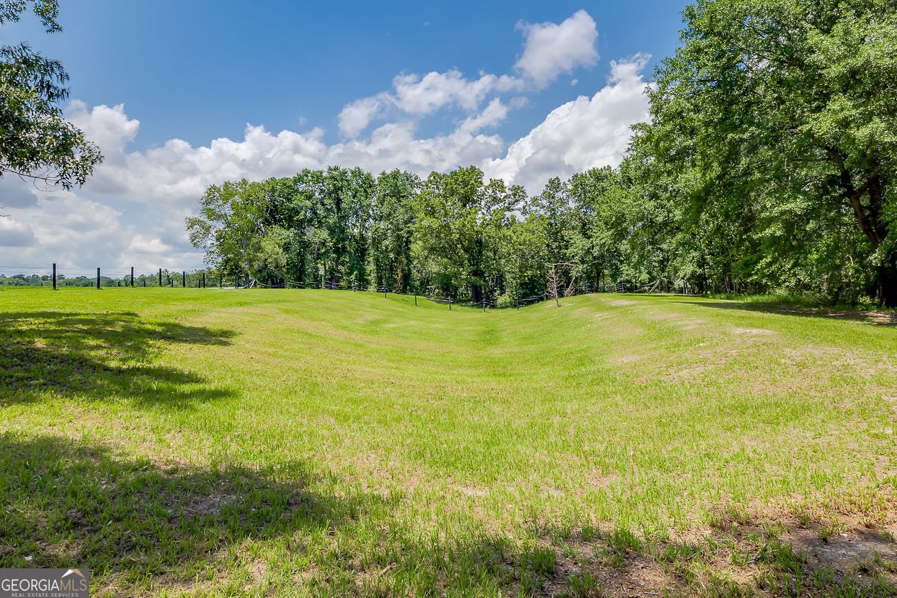 25492 Ga Highway 129 Claxton - Photo 74