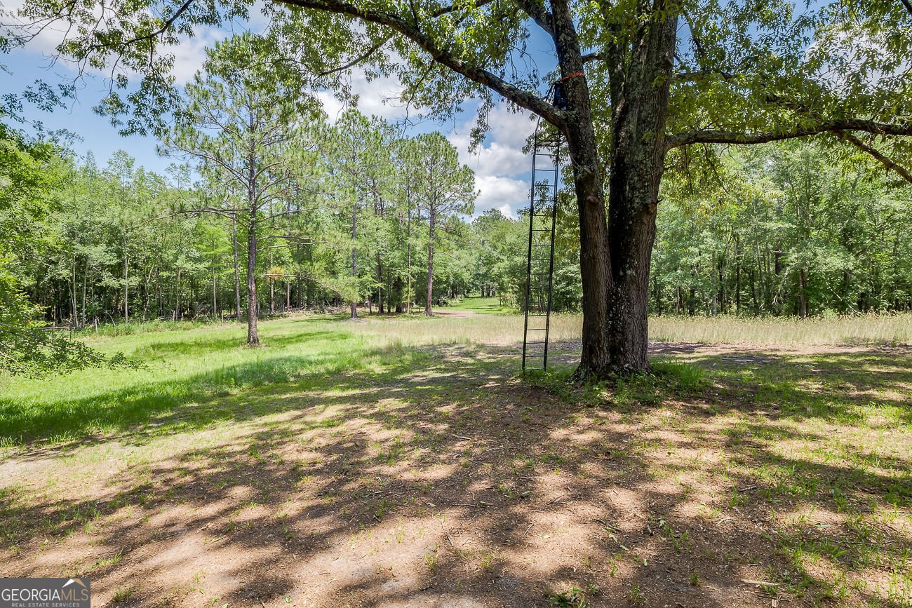 25492 Ga Highway 129 Claxton - Photo 75