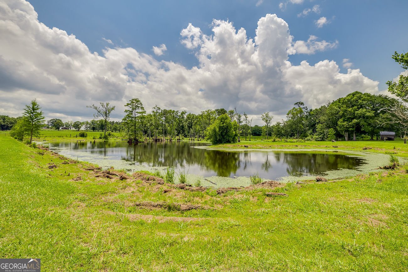 25492 Ga Highway 129 Claxton - Photo 76