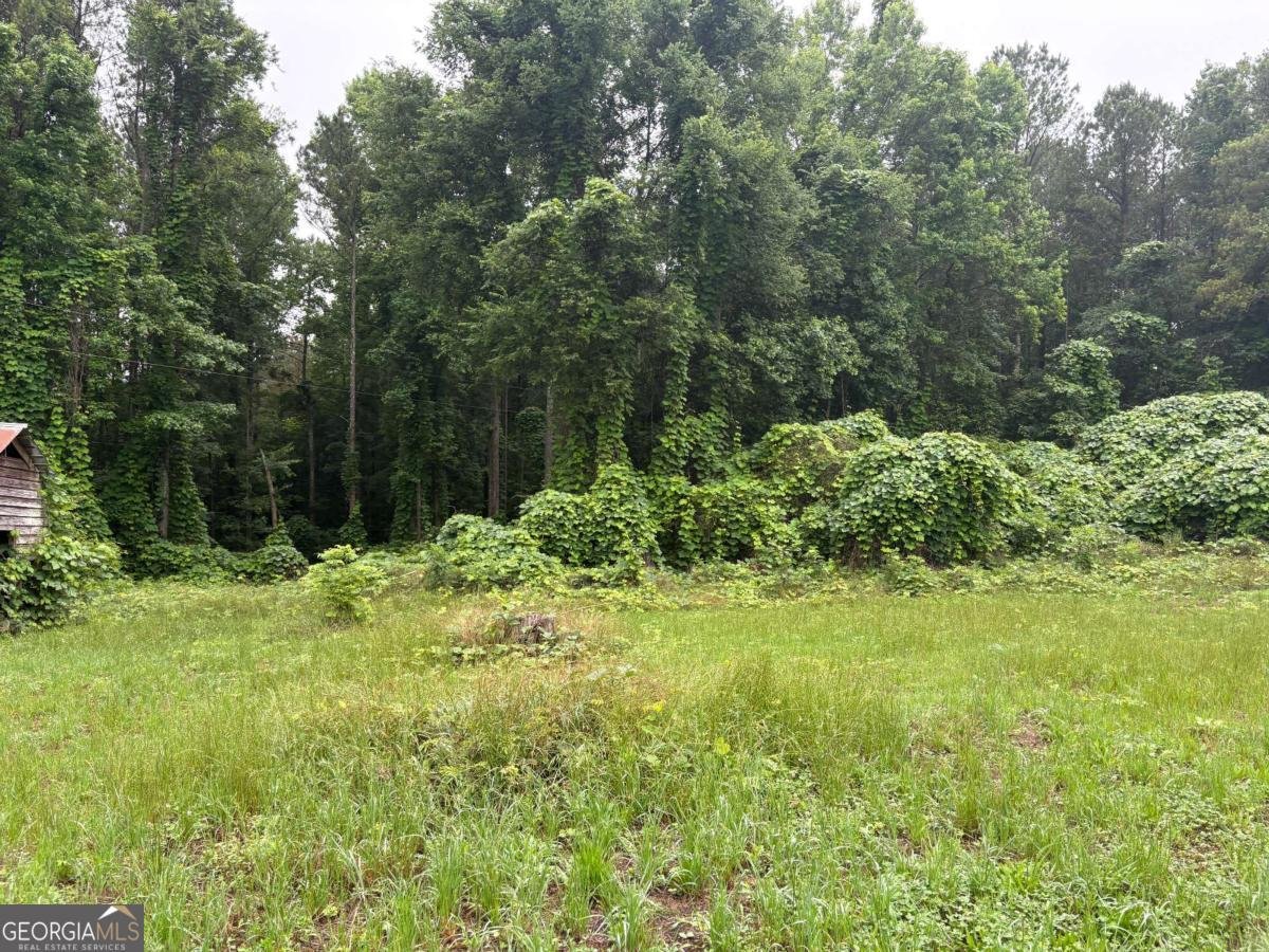 3144 Rockmart Road Villa Rica - Photo 15