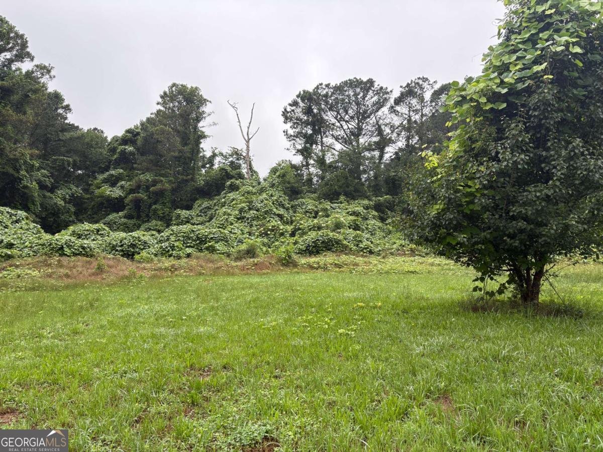 3144 Rockmart Road Villa Rica - Photo 16