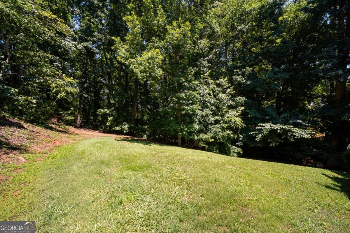 9610 Eagles Landing Drive Gainesville - Photo 44