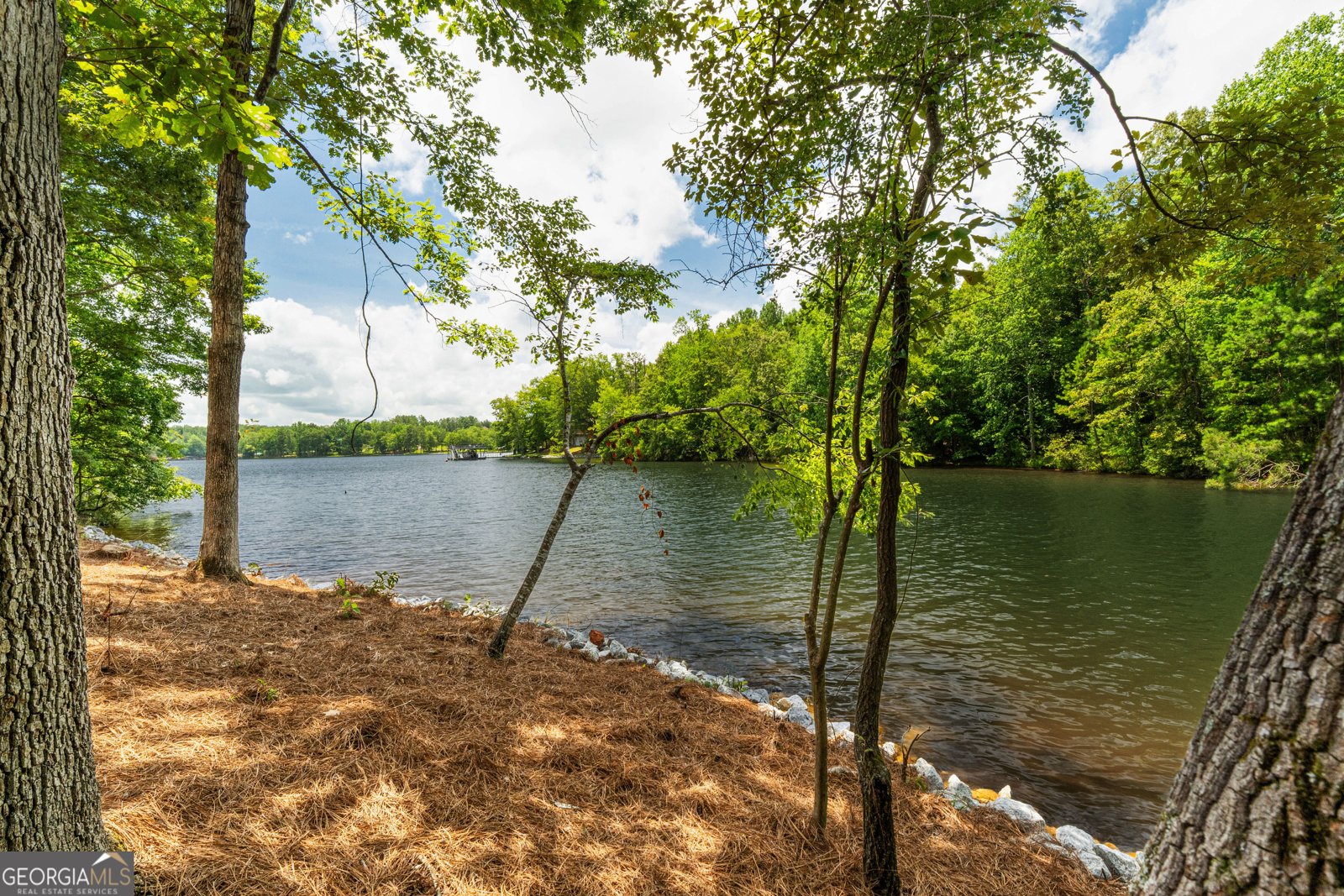 681 Warren Road Wedowee - Photo 55