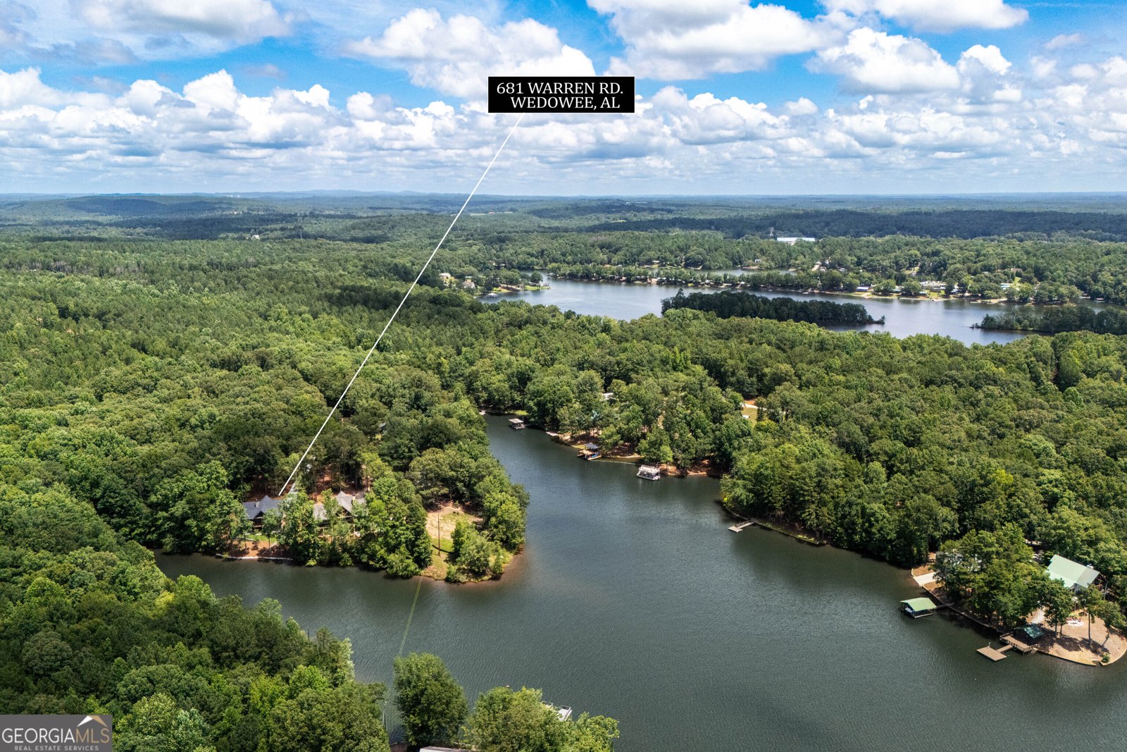 681 Warren Road Wedowee - Photo 57