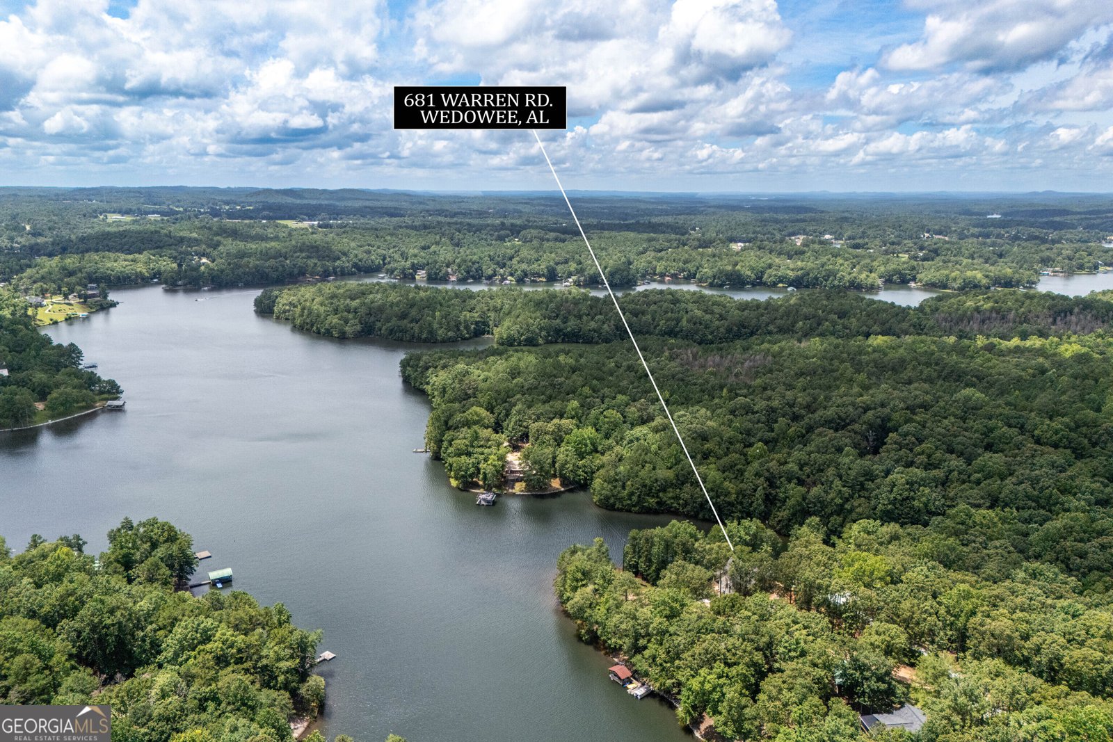 681 Warren Road Wedowee - Photo 59