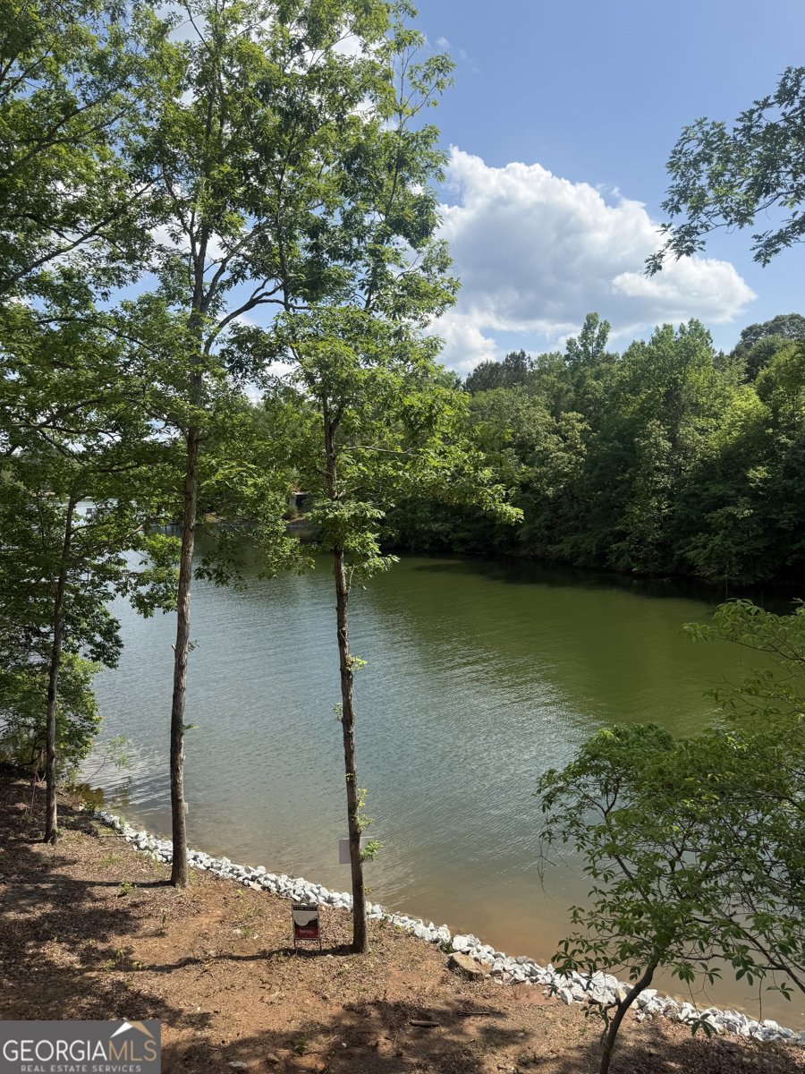 681 Warren Road Wedowee - Photo 6