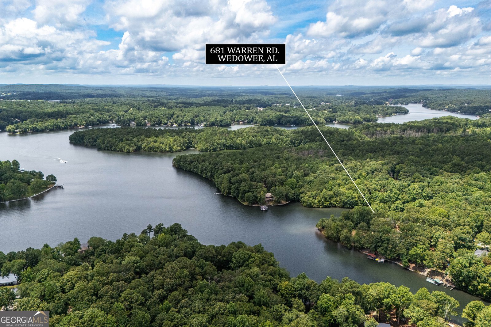 681 Warren Road Wedowee - Photo 60