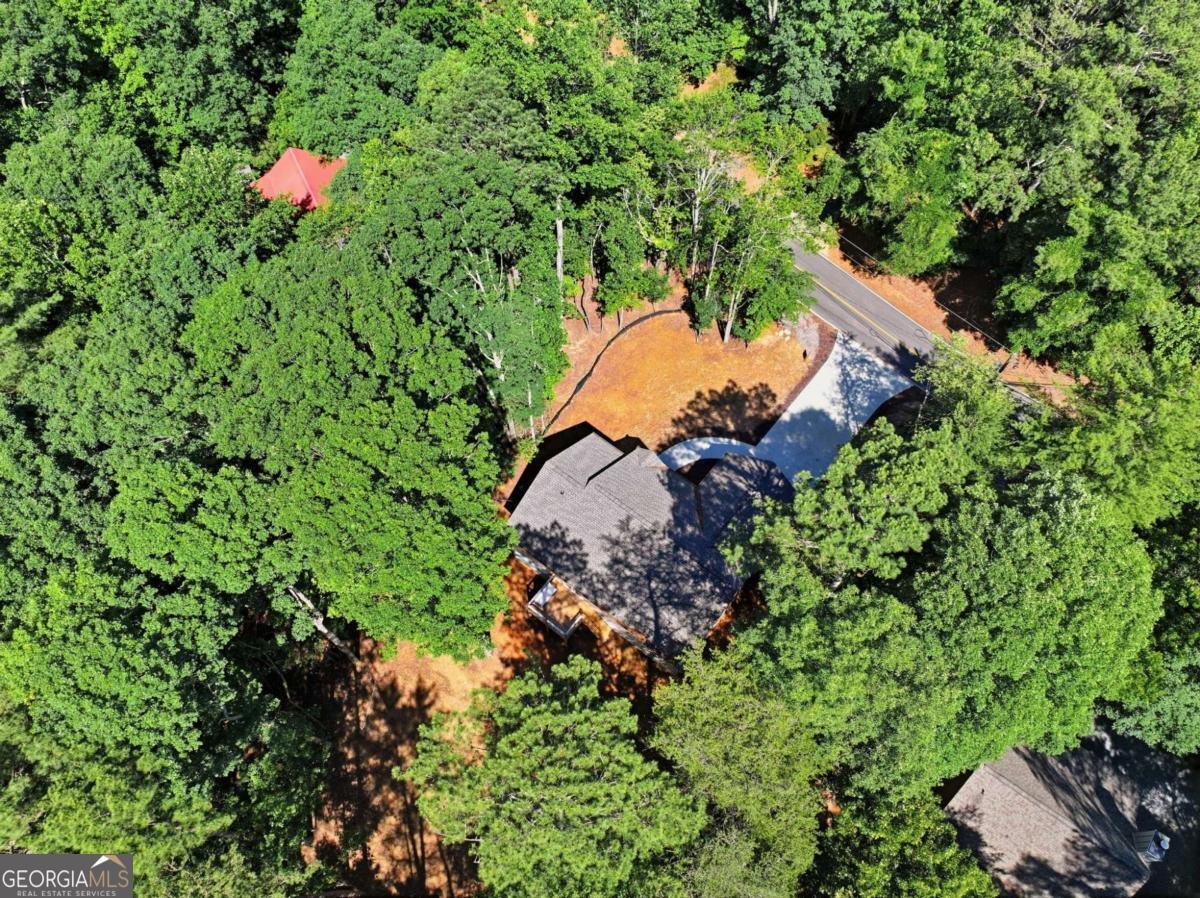 1968 Newport Drive Ellijay - Photo 31