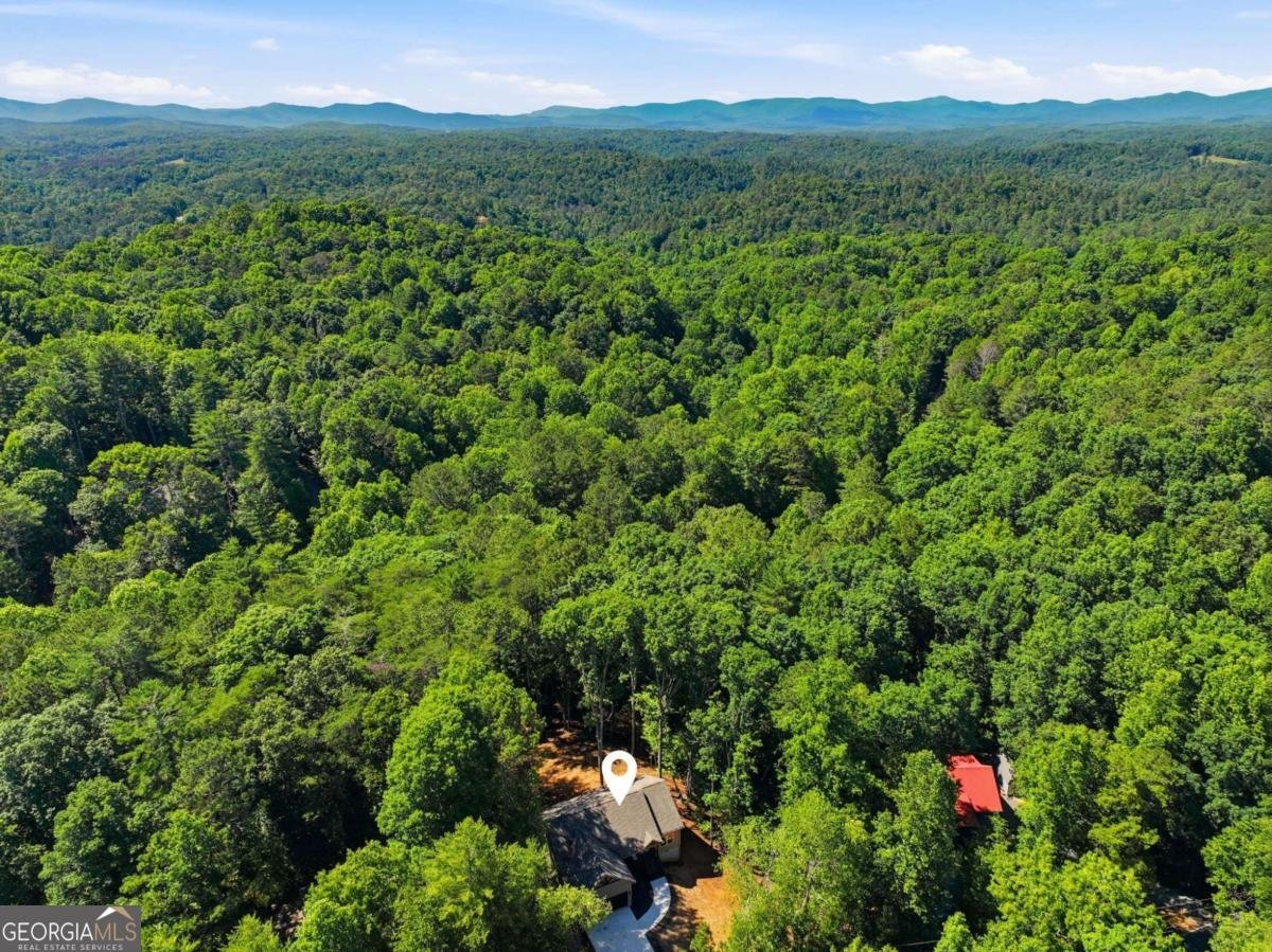 1968 Newport Drive Ellijay - Photo 41