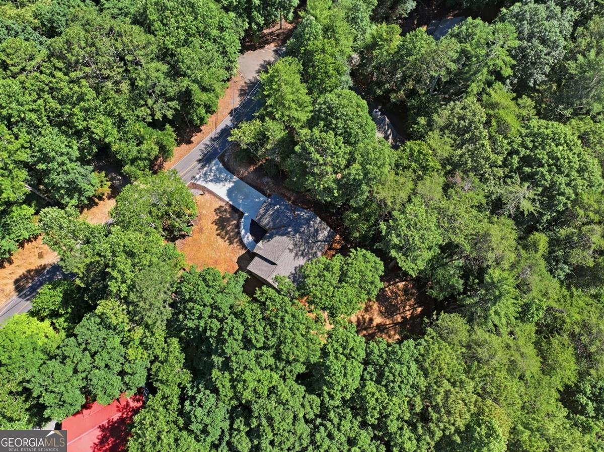 1968 Newport Drive Ellijay - Photo 43
