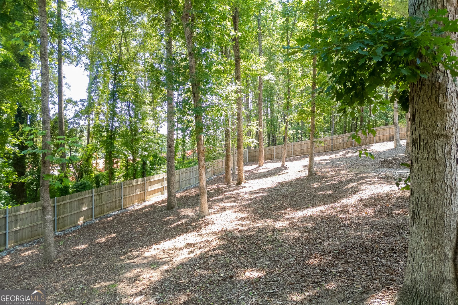 3803 Carter Road Buford - Photo 50